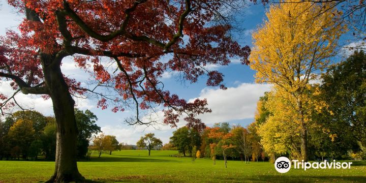 Stoke Park