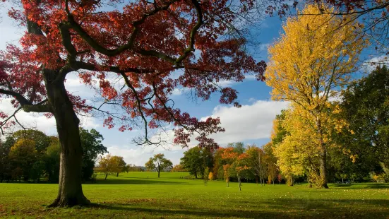 Stoke Park