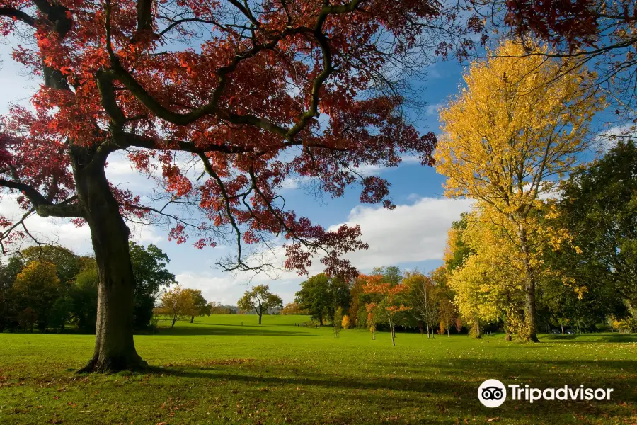 Stoke Park