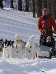 The Husky Experience Sestriere