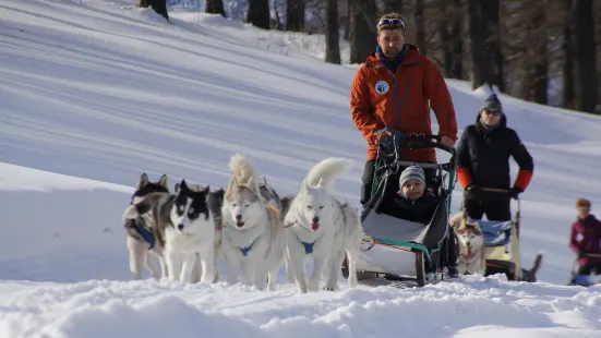 The Husky Experience Sestriere