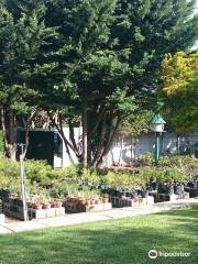 Bishopsford Bonsai Nursery