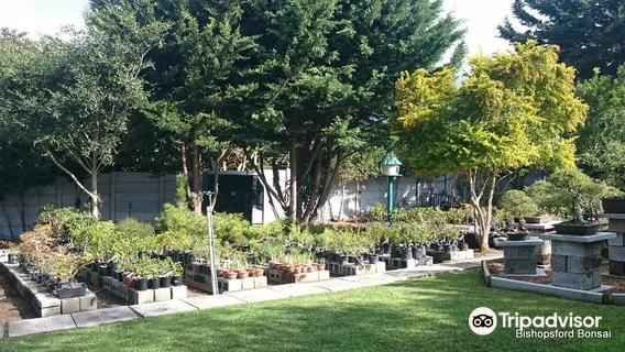 Bishopsford Bonsai Nursery