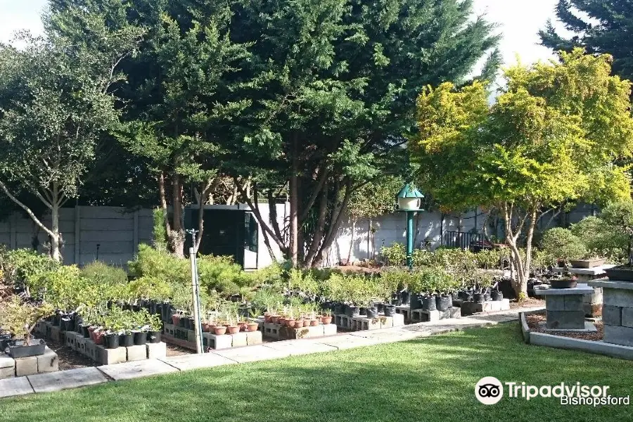 Bishopsford Bonsai Nursery