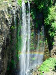 Queen Mary Falls Caravan Park