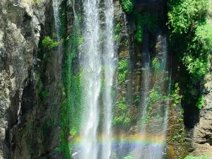 Queen Mary Falls Caravan Park