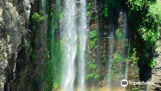 Queen Mary Falls Caravan Park & Cafe