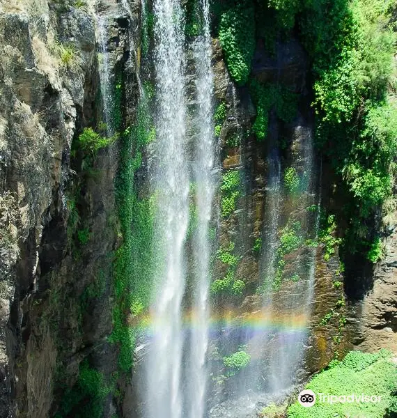 Queen Mary Falls Caravan Park