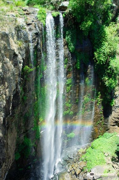 Queen Mary Falls Caravan Park & Cafe