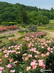 Parque de la Flor de la Prefectura de Ibaraki