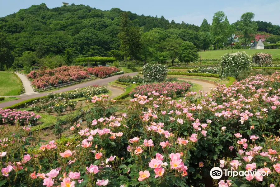 IBARAKI FLOWER PARK