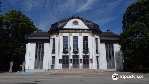 Vanemuise small house