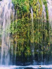 モスブリー滝