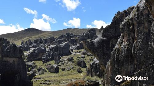 Hatun Machay Rock Forest