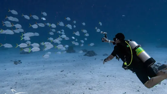 Seafari Turkoise - Dive Center