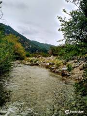 Lytle Creek Middle Fork Trail