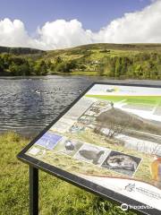 Dare Valley Country Park