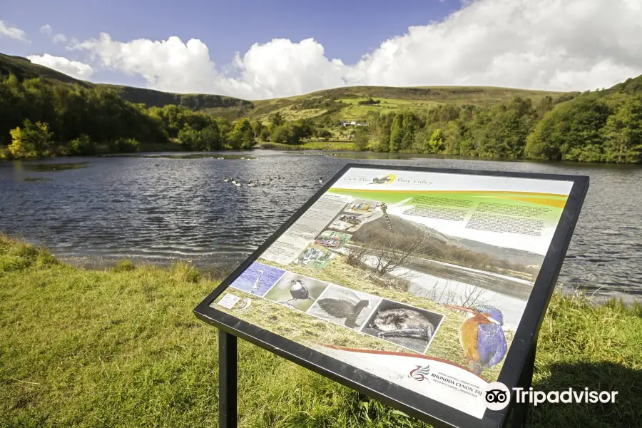 Dare Valley Country Park and Gravity Family Bike Park