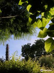 Interieur a ciel ouvert - jardin remarquable