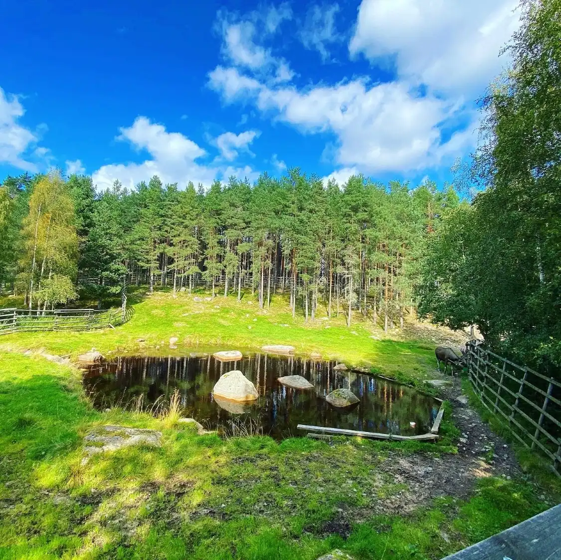 Hotels near Vildriket