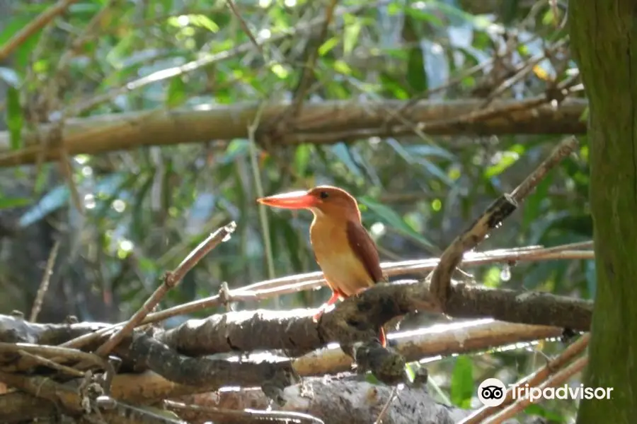 Baras Bird Sanctuary