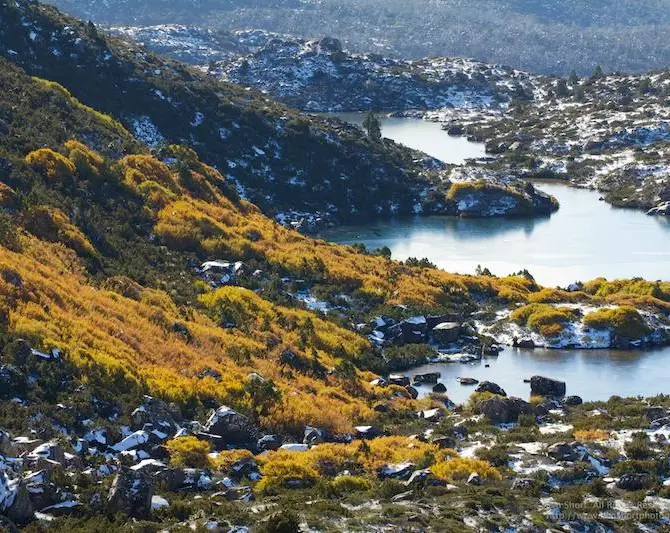 Mount Field National Park