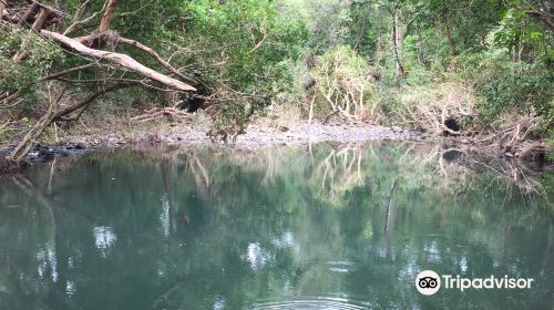 Lomas de Barbudal Biological Reserve