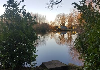 Bron Eifion Coarse Fishing