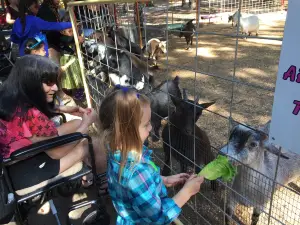 Springtime Farms & Adventure Park