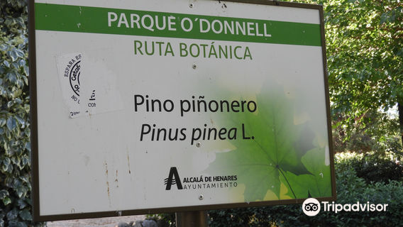 Parque de O'Donnell