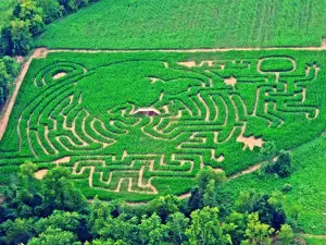 McPeek's Mighty Maze