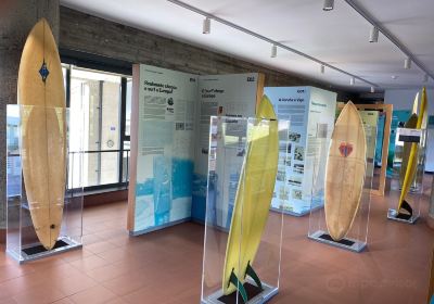 Océano Surf Museo