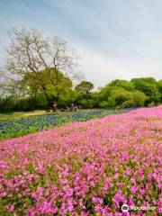 Jardín botánico de Nobeoka