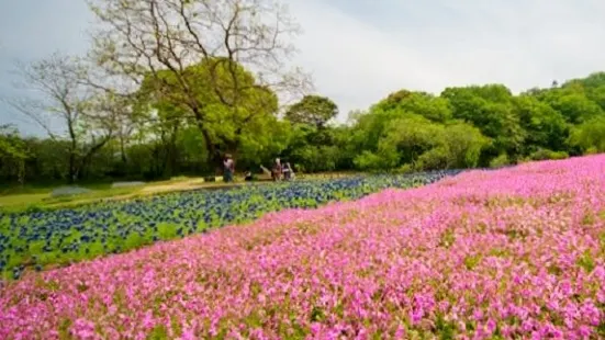 延岡植物園