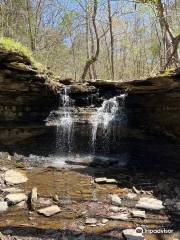 Lake Alma Hiking Trail