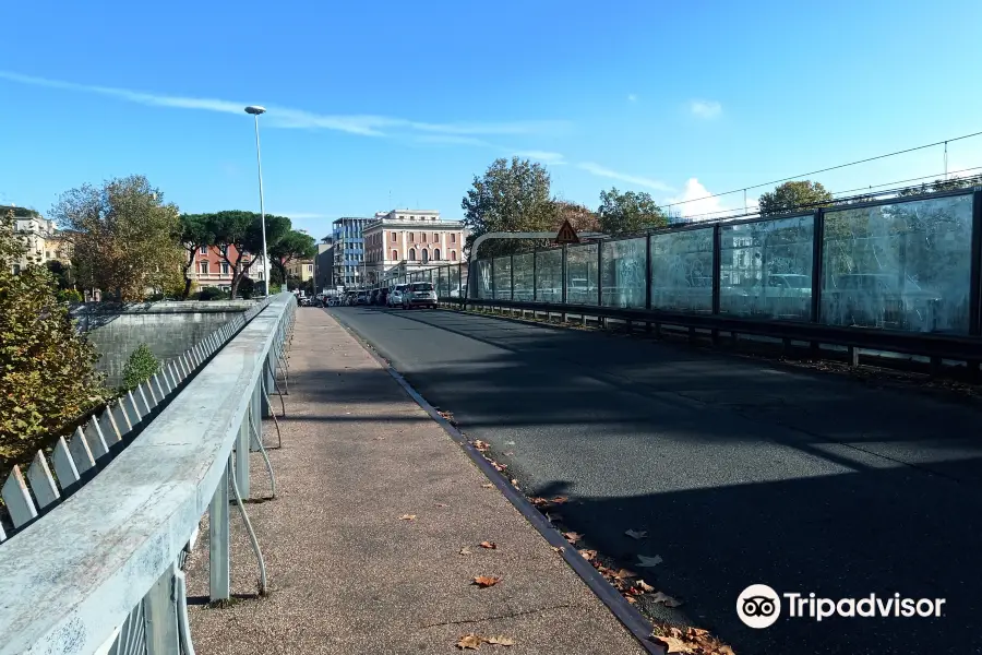 Ponte Pietro Nenni