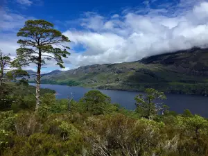 Beinn Eighe National Nature Reserve