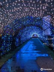 ゆりの里公園 ユリーム春江