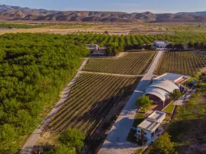 Bodega Rivero Gonzalez