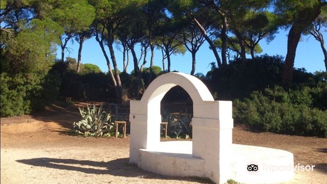 Parque de las Canteras