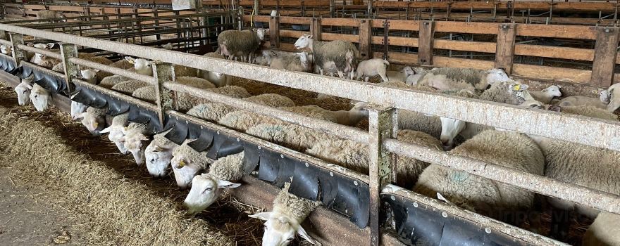 Farm Grignon
