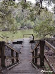 Coffs Creek walk & cycleway