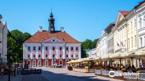 Tartu Old City