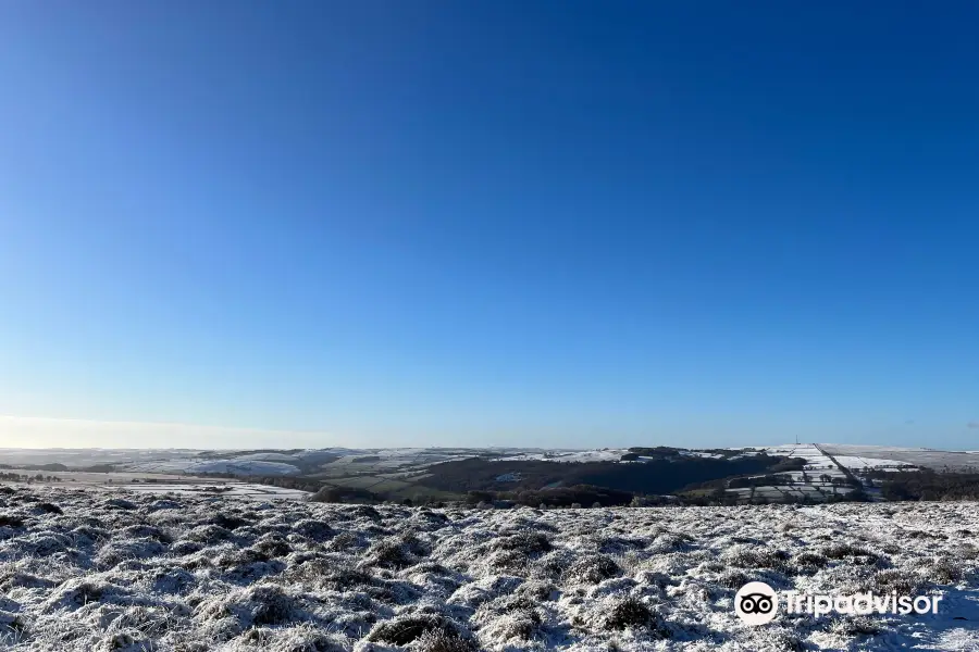 Longshaw Estate