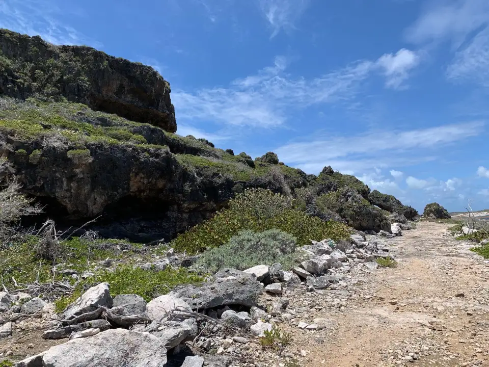 3_Barbuda Express