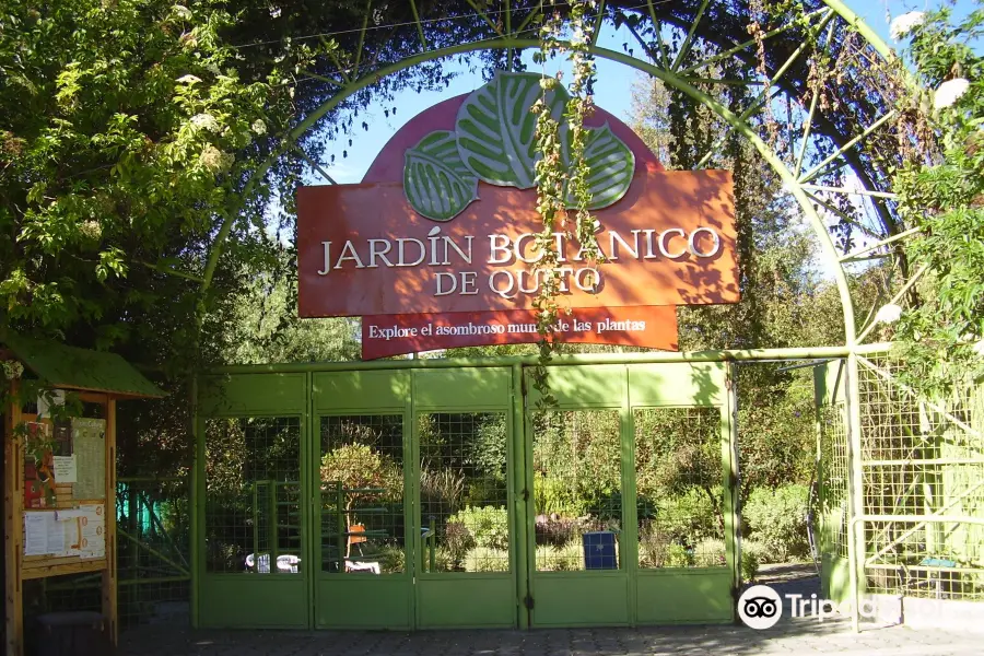 Jardin Botanico de Quito