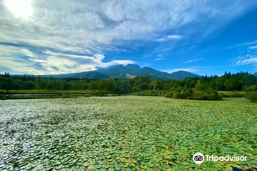 Imori-ike Pond