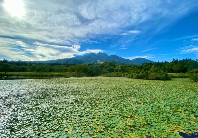 Imori-ike Pond