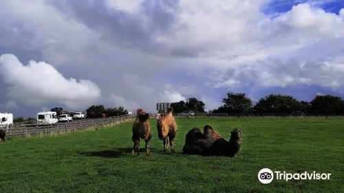 Mainsgill Farm Shop