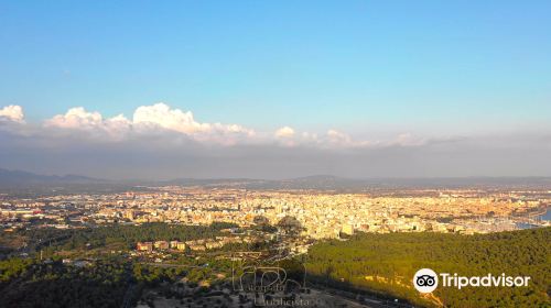 Mirador de Na Burguesa